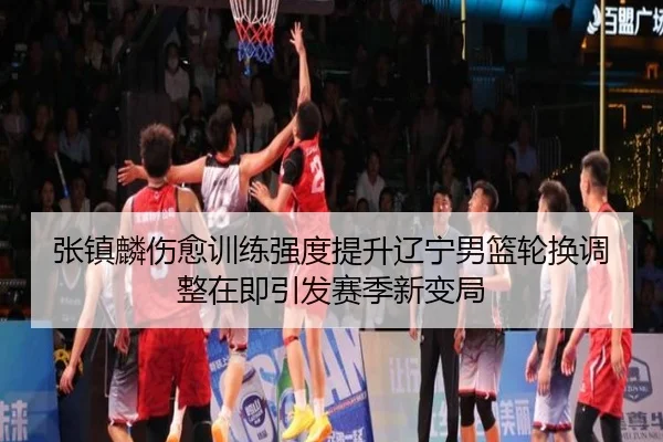 张镇麟伤愈训练强度提升辽宁男篮轮换调整在即引发赛季新变局
